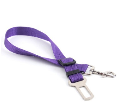 Fixed Strap Polyester