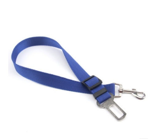 Fixed Strap Polyester