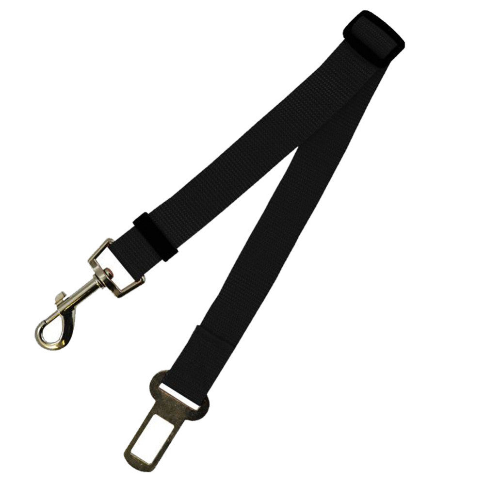 Fixed Strap Polyester