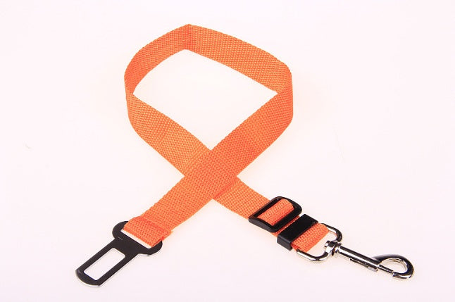 Fixed Strap Polyester