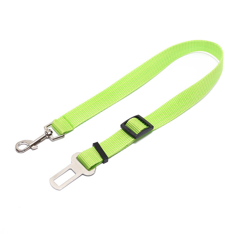 Fixed Strap Polyester