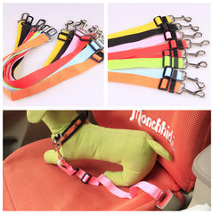 Fixed Strap Polyester