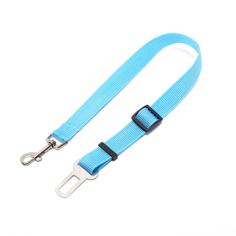 Fixed Strap Polyester
