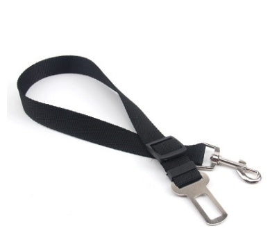 Fixed Strap Polyester