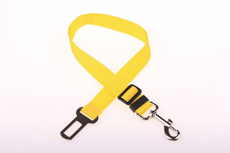 Fixed Strap Polyester