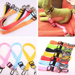 Fixed Strap Polyester